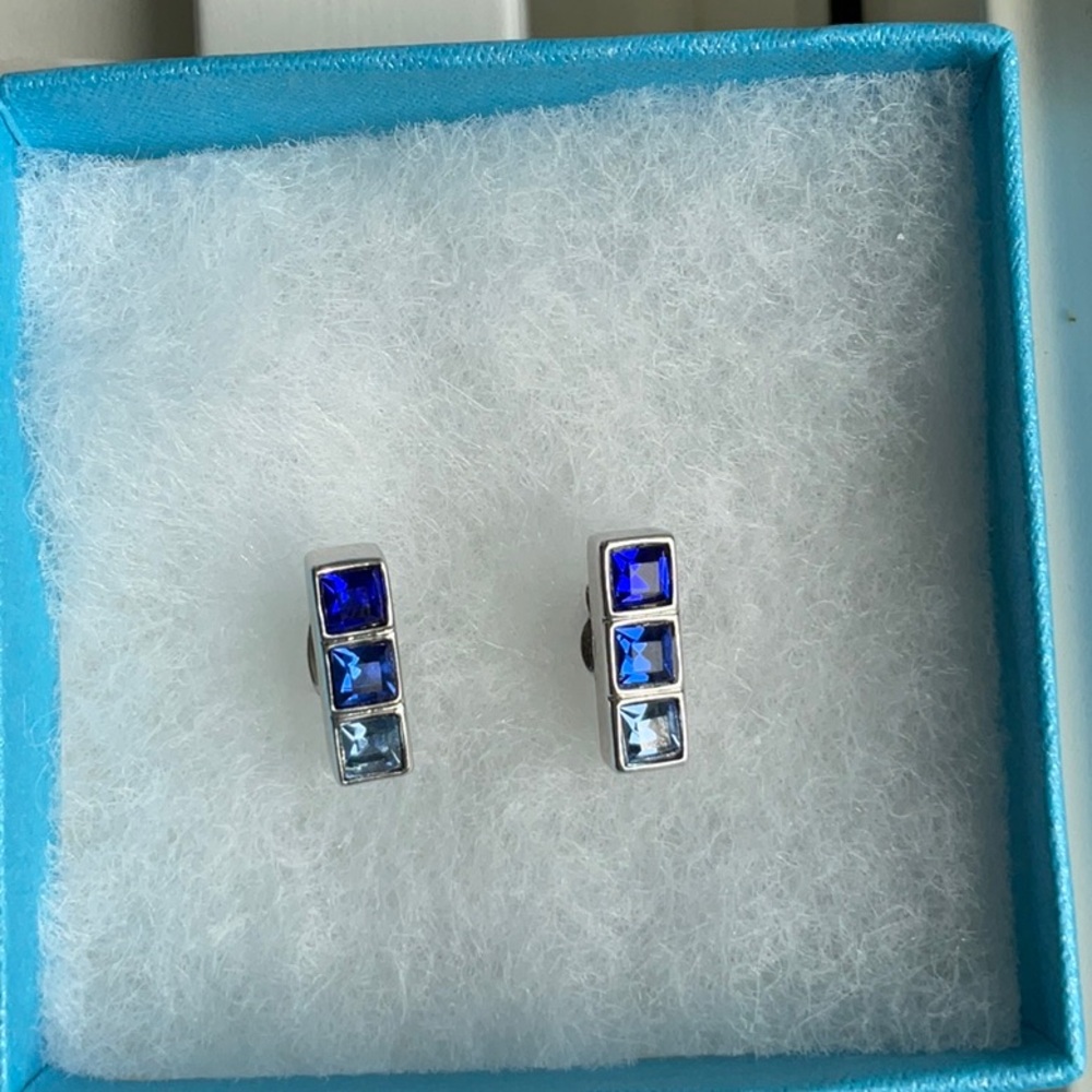 Elegant Silver and Blue Crystal Stud Earrings